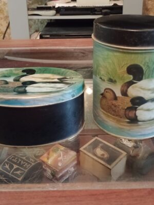 Set latas de almacenamiento
